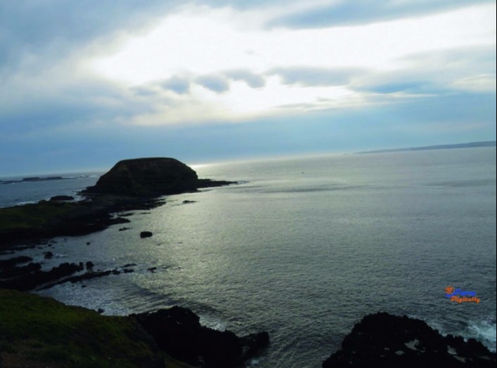 Flying Digitally | Photojournalism-Phillip Island in Australia